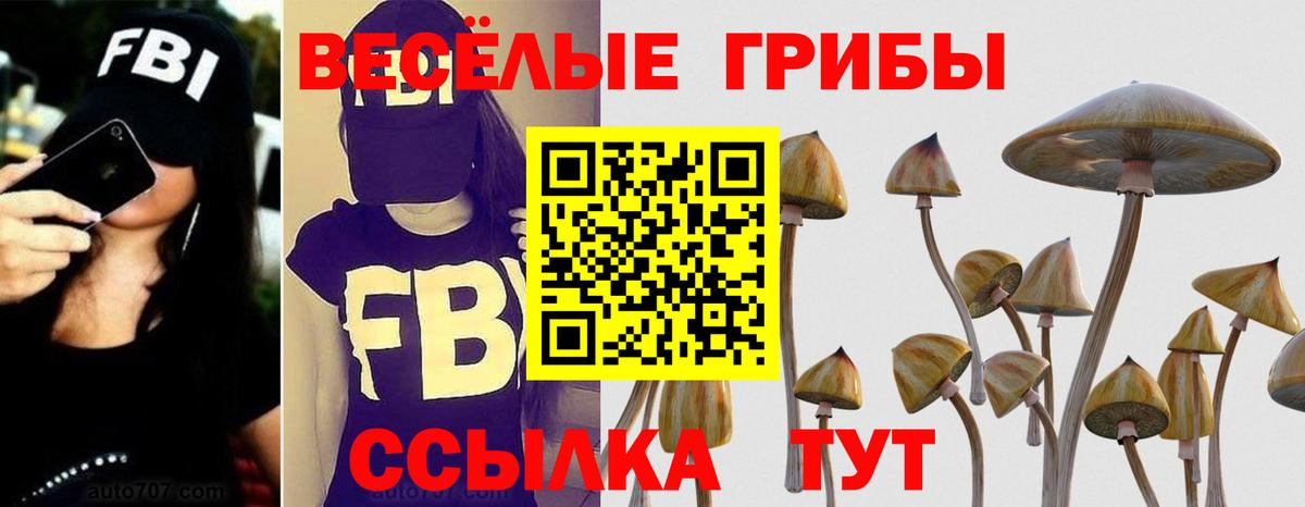 Галлюциногенные грибы MAGIC MUSHROOMS  где купить наркоту  Вход с VPN  Вязники  Галлюциногенные грибы мухоморы 
